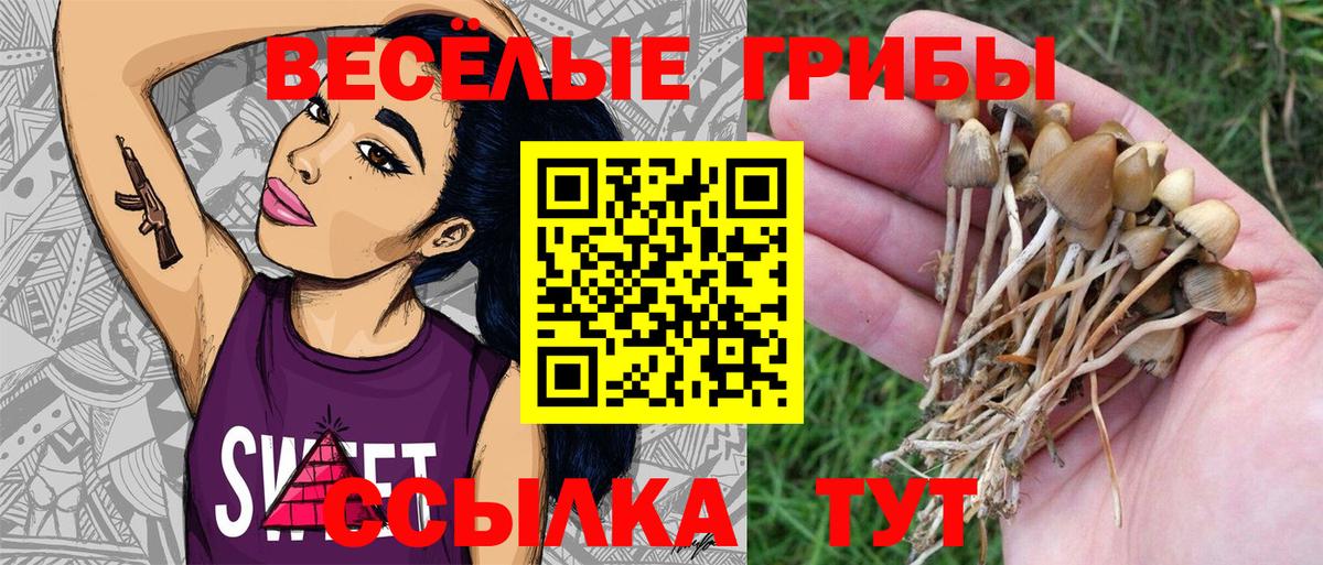 Галлюциногенные грибы Psilocybine cubensis  Галлюциногенные грибы GOLDEN TEACHER  Воркута  Вход с VPN 