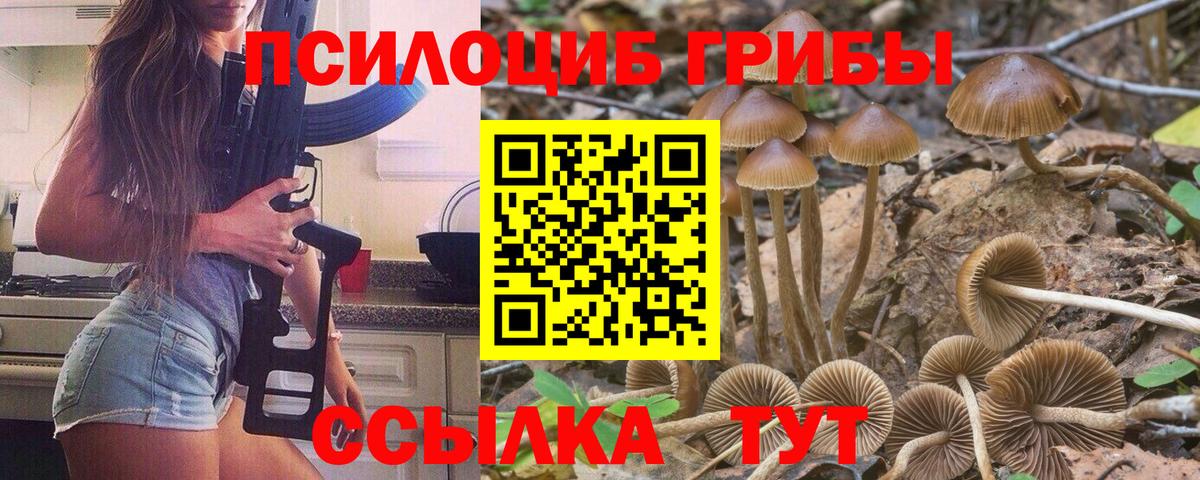 Галлюциногенные грибы GOLDEN TEACHER Воркута